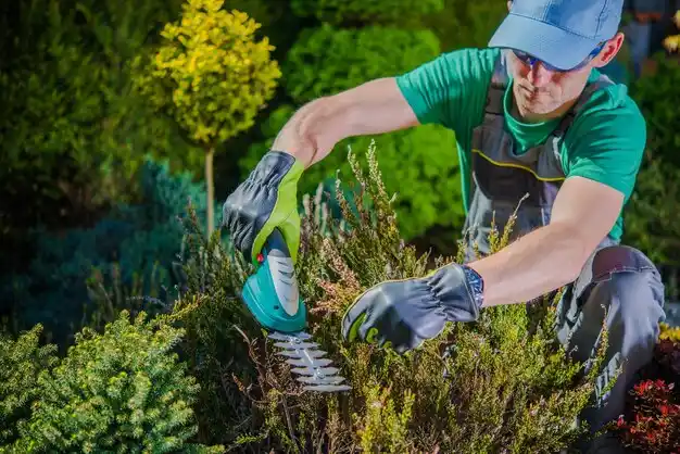 landscaping services Lawson